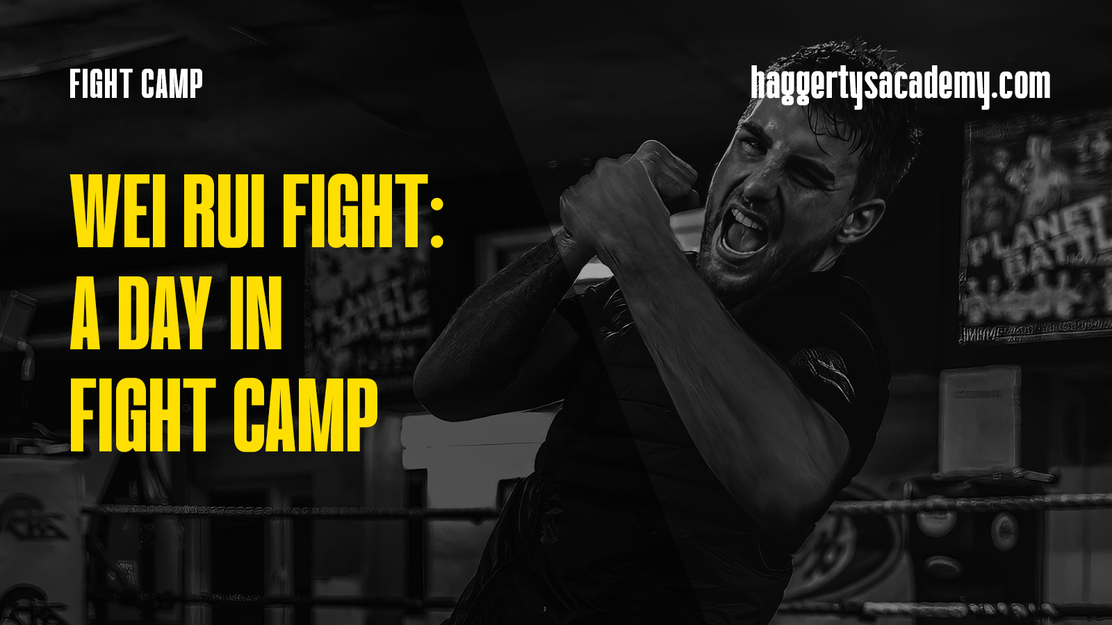 1088 poster landscape