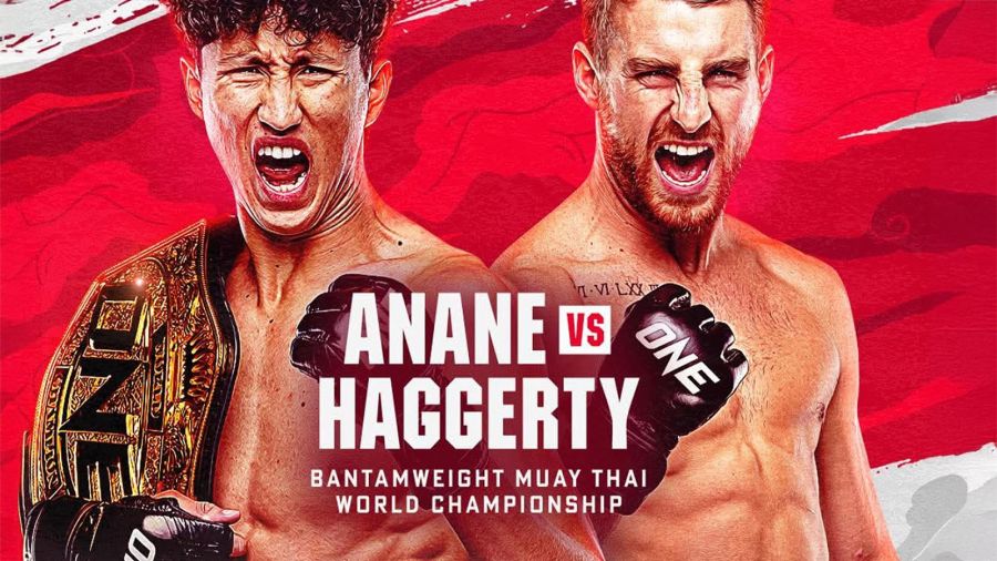 Haggerty v nabil one 173