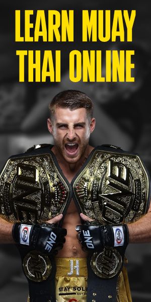 Haggertys academy double mpu template